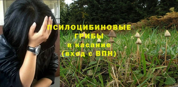 мет Алексеевка